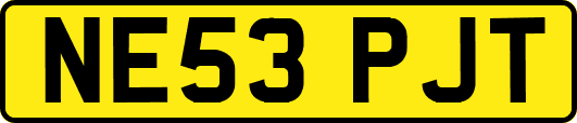 NE53PJT
