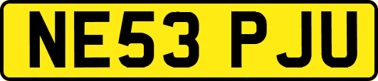 NE53PJU