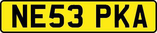 NE53PKA