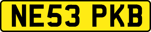 NE53PKB
