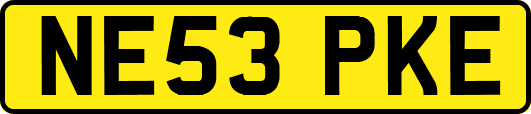 NE53PKE