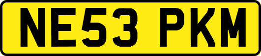 NE53PKM