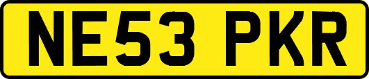 NE53PKR