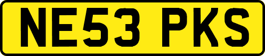 NE53PKS