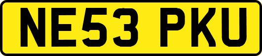 NE53PKU