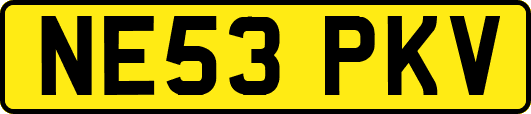 NE53PKV