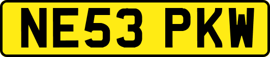 NE53PKW
