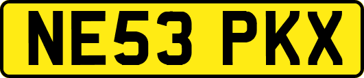 NE53PKX