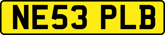 NE53PLB