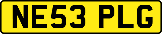 NE53PLG
