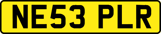 NE53PLR