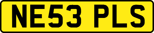 NE53PLS
