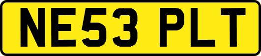 NE53PLT
