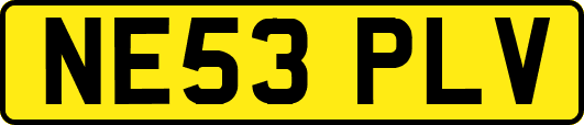 NE53PLV