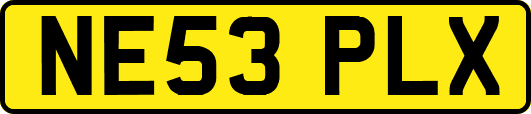 NE53PLX