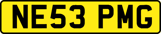 NE53PMG