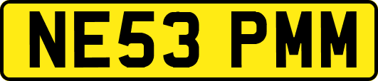 NE53PMM
