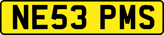 NE53PMS