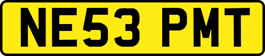 NE53PMT