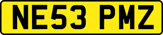 NE53PMZ