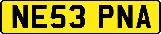 NE53PNA