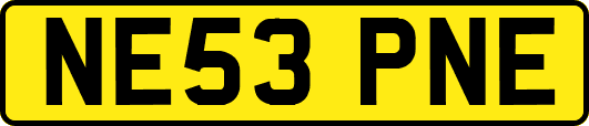 NE53PNE