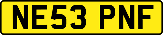 NE53PNF
