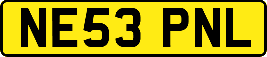 NE53PNL