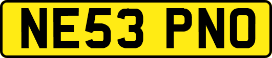NE53PNO
