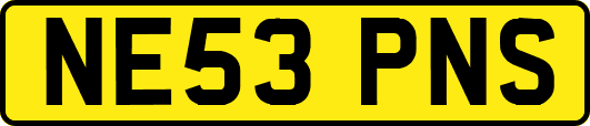 NE53PNS