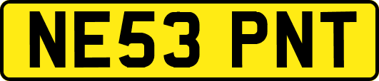 NE53PNT