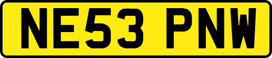 NE53PNW
