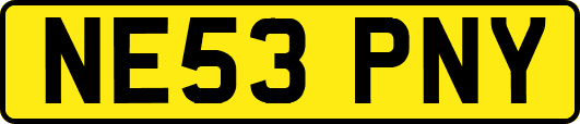 NE53PNY