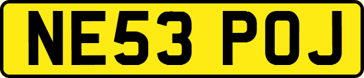 NE53POJ