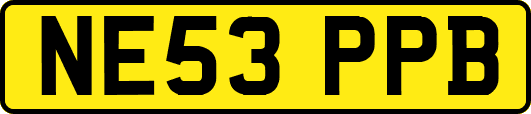 NE53PPB