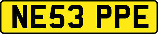 NE53PPE