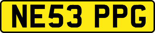 NE53PPG