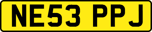 NE53PPJ