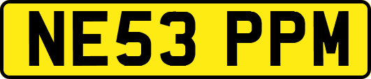 NE53PPM
