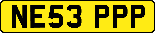 NE53PPP