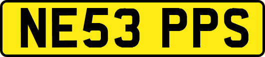 NE53PPS