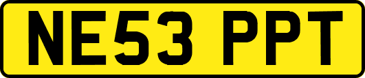 NE53PPT