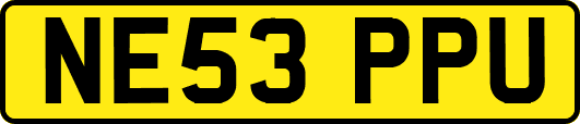 NE53PPU