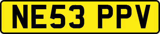 NE53PPV