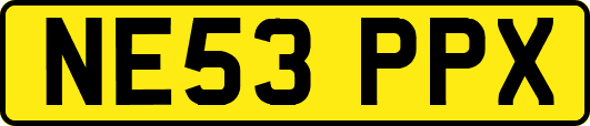 NE53PPX