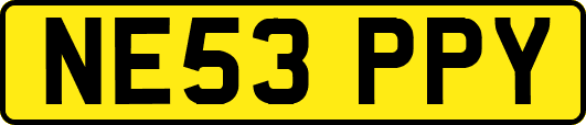NE53PPY