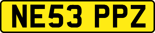 NE53PPZ