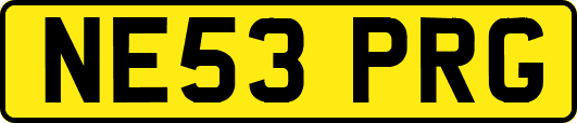 NE53PRG