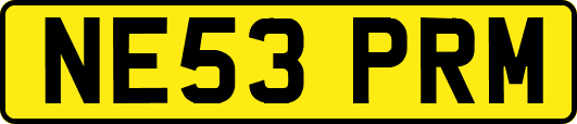 NE53PRM