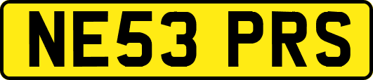 NE53PRS
